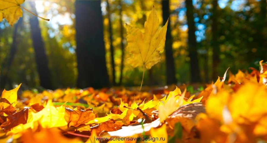 скачать живые обои на рабочий стол 1366х768